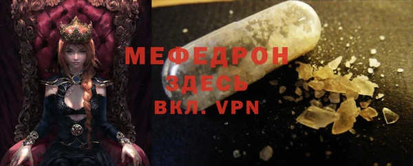 молекула духа Вяземский