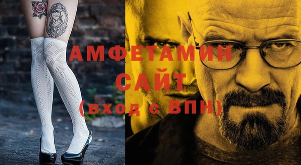 молекула духа Вяземский
