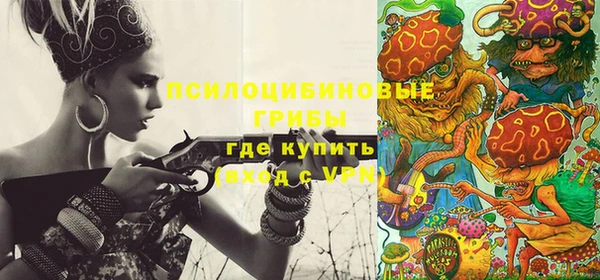 ешки Вязьма