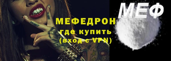 молекула духа Вяземский
