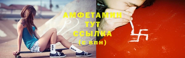 молекула духа Вяземский