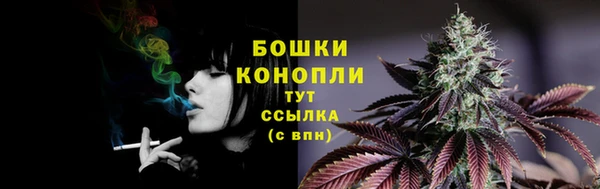 молекула духа Вяземский