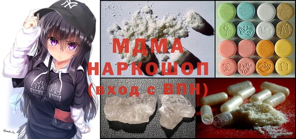 молекула духа Вяземский