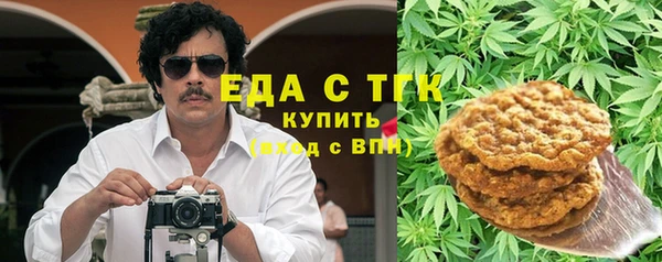 молекула духа Вяземский