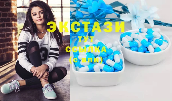 молекула духа Вяземский