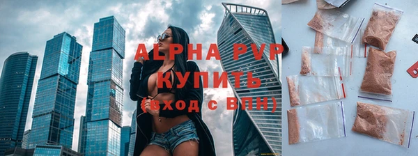 молекула духа Вяземский