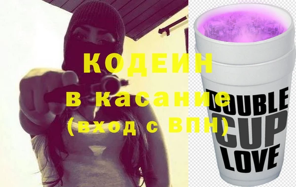 молекула духа Вяземский