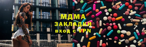 молекула духа Вяземский