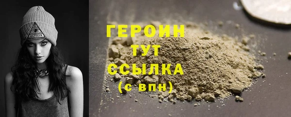 молекула духа Вяземский